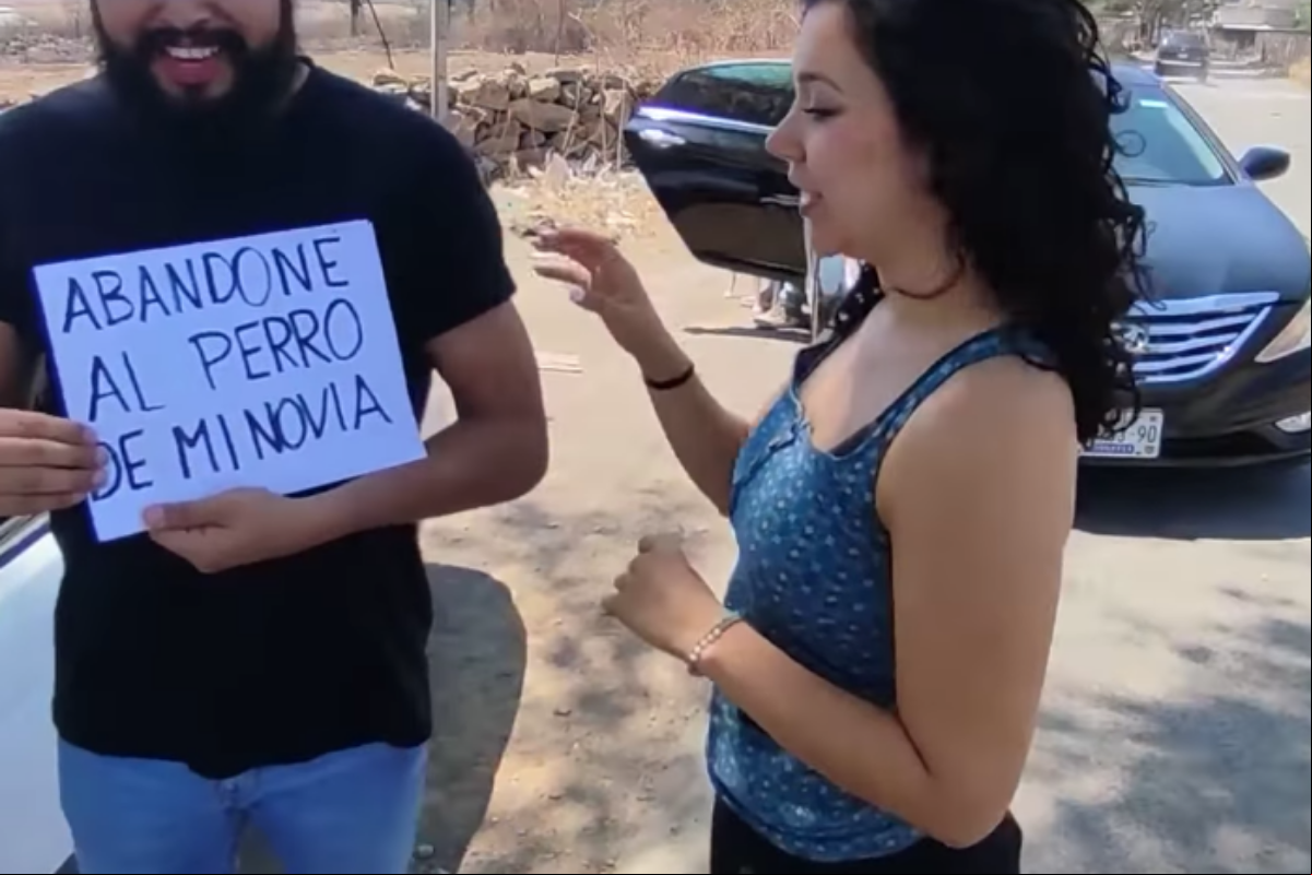 Abandono de Animais - Mulher abandona o noivo Abandono de Animais - Mulher abandona o noivo