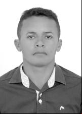 Foto Abacaxi do Holanda 90024